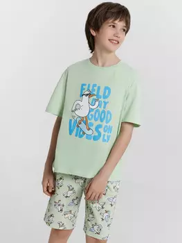 Комплект для мальчиков (джемпер, шорты)