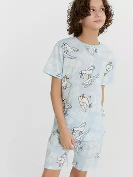 Комплект домашний для мальчиков голубой с принтом