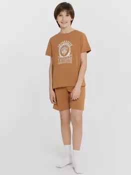 Комплект домашний для мальчиков коричневый с принтом