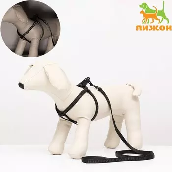 Комплект двухслойный, поводок 130 х 1 см, ог 25-38 см, черный