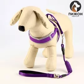 Комплект мягкая шлейка, поводок 120х1 см, вертлюг, s, ош 26-67 см, ог 26-67 см, фиолетовый