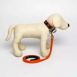 Комплект ошейник (58х2.5 см) и поводок (130х1.4 см) из экокожи, черный с оранжевым