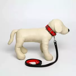 Комплект ошейник (58х2.5 см) и поводок (130х1.4 см) из экокожи, красный с чёрным