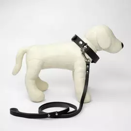 Комплект ошейник (40-54х2.5 см) и поводок (130х1.2 см) рептилия, чёрный