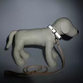 Комплект ошейник (34-45х2 см) светоотражающий и поводок (130х1 см), бежевый