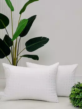 Комплект подушек Raposa home 50х70 лебяжий пух тик