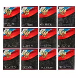 Набор предметных тетрадей 48 листов, calligrata