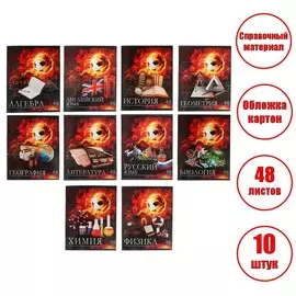 Набор предметных тетрадей 48 листов calligrata