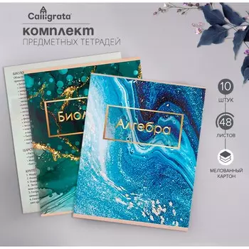 Набор предметных тетрадей 48 листов, calligrata