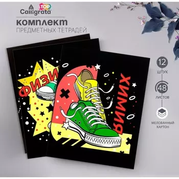 Набор предметных тетрадей 48 листов, calligrata