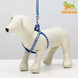 Комплект прошитый