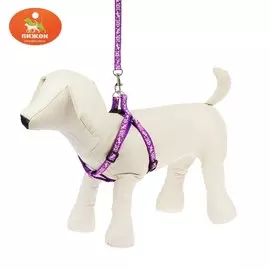 Комплект прошитый