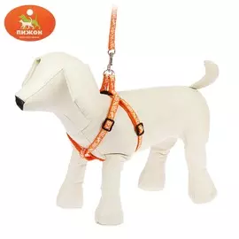 Комплект прошитый