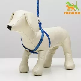 Комплект прошитый