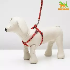 Комплект прошитый