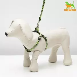 Комплект прошитый