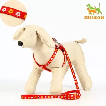 Комплект прошитый