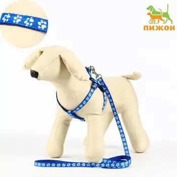 Комплект прошитый