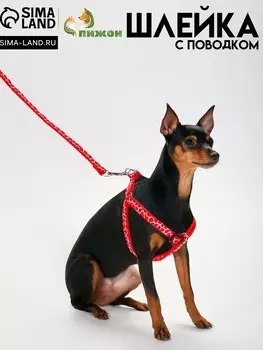 Комплект прошитый