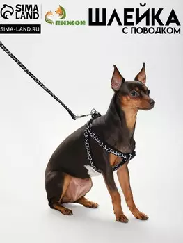 Комплект прошитый