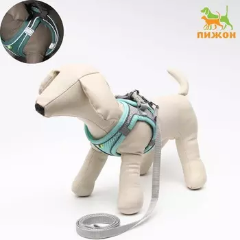 Комплект с мягкой шлейкой, быстросъемный, m, поводок 1501.5 см, ош 38-44 см, ог 44-50 см, бирюз