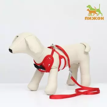 Комплект с мягкой шлейкой и бантиком