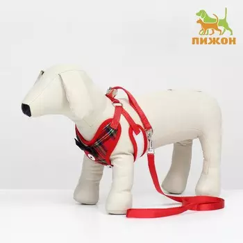 Комплект с мягкой шлейкой и бантиком