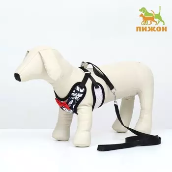 Комплект с мягкой шлейкой и бантиком