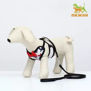 Комплект с мягкой шлейкой и бантиком