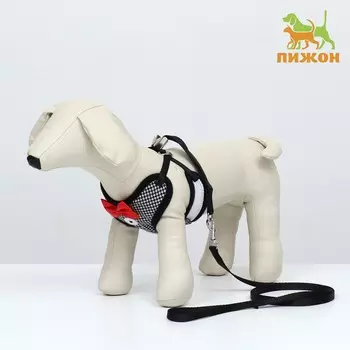 Комплект с мягкой шлейкой и бантиком , размер s, поводок 120 x 1,5 см, ог 23-42 см, серый