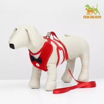 Комплект с мягкой шлейкой и бантиком, размер l, поводок 1201.5 см, ог 35-50 см, красный