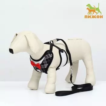 Комплект с мягкой шлейкойи бантиком