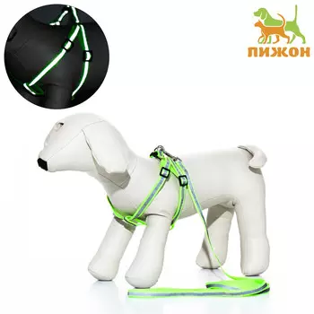 Комплект со светоотражающей лентой, ошейник 1201 см, ог 26-40 см, зеленый