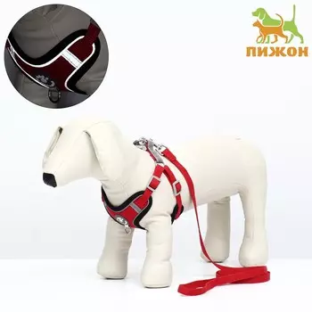 Комплект sport+, s, поводок 1201.5 см, ош 39-41 см, ог 44-48 см, вес животного 7-13 кг, красный