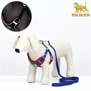 Комплект sport+, s, поводок 1501.5 см, ош 39-41 см, ог 44-48 см, вес животного 7-13 кг, синий 96