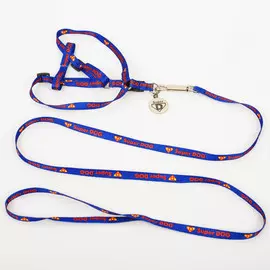 Комплект super dog, шлейка 26-39 см, поводок 120х1 см, медальон