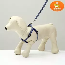 Комплект светоотражающий