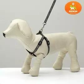 Комплект светоотражающий