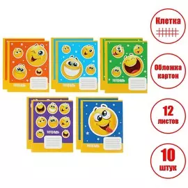 Комплект тетрадей из 10 штук, 12 листов в клетку calligrata