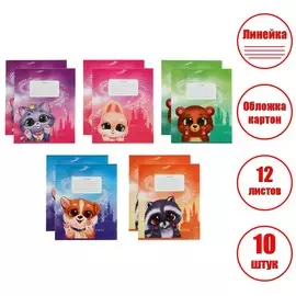 Комплект тетрадей из 10 штук, 12 листов в линию calligrata