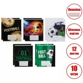 Комплект тетрадей из 10 штук, 12 листов в линию calligrata