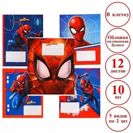 Комплект тетрадей из 12 шт