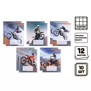 Комплект тетрадей из 10 штук, 12 листов в клетку calligrata