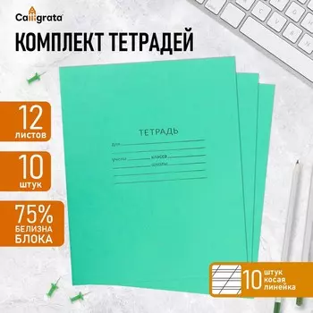 Комплект тетрадей из 10 штук, 12 листов в косую линию кпк
