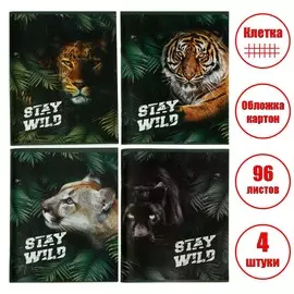 Комплект тетрадей из 4 штук, 96 листов в клетку calligrata