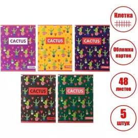 Наабор тетрадей, 48 листов в клетку, calligrata