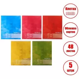 Комплект тетрадей из 5 штук, 48 листов в клетку calligrata