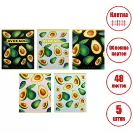 Набор тетрадей 48 листов в клетку calligrata