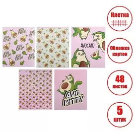 Набор тетрадей 48 листов в клетку calligrata