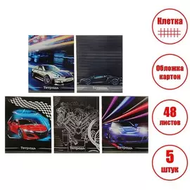 Набор тетрадей, 48 листов в клетку, calligrata